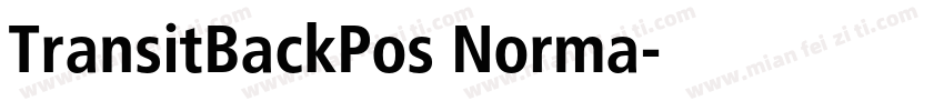 TransitBackPos Norma字体转换